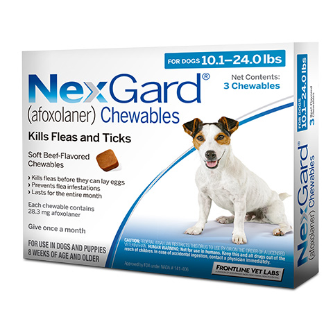 NexGard for medium dogs