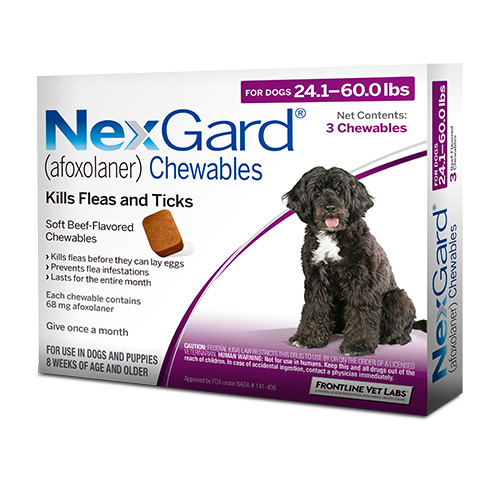 NexGard for large dogs